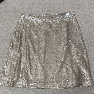 Zara Sparkling champagne color Skirt